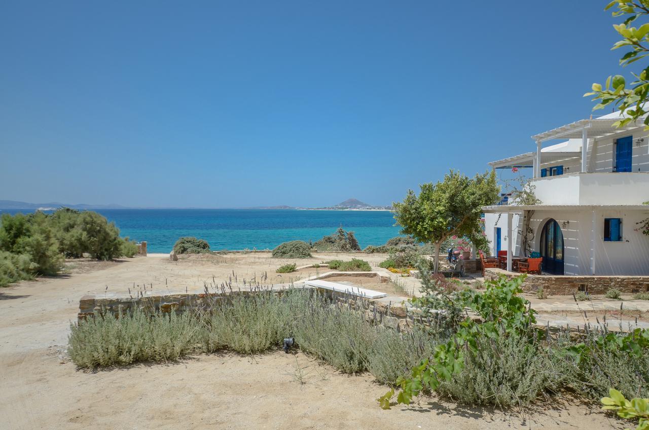 Orkos Blue Coast Apartment Mikri Vigla Exterior photo